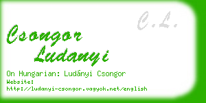csongor ludanyi business card