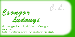 csongor ludanyi business card